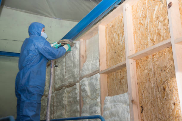 Best Wall Insulation Contractor  in Lawrence, IN